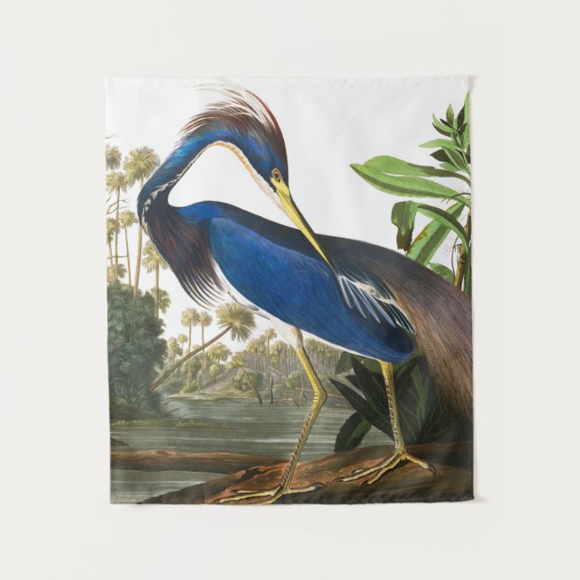 Tapete De Parede Louisiana Heron por John James Audubon (Frente)