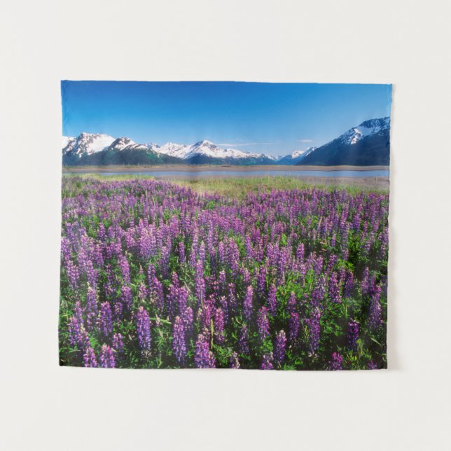 Tapete De Parede Lupinas em Bloom | Montanhas Kenai, Alasca (Frente (Horizontal))