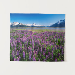 Tapete De Parede Lupinos em Flor Montanhas Kenai, Alasca