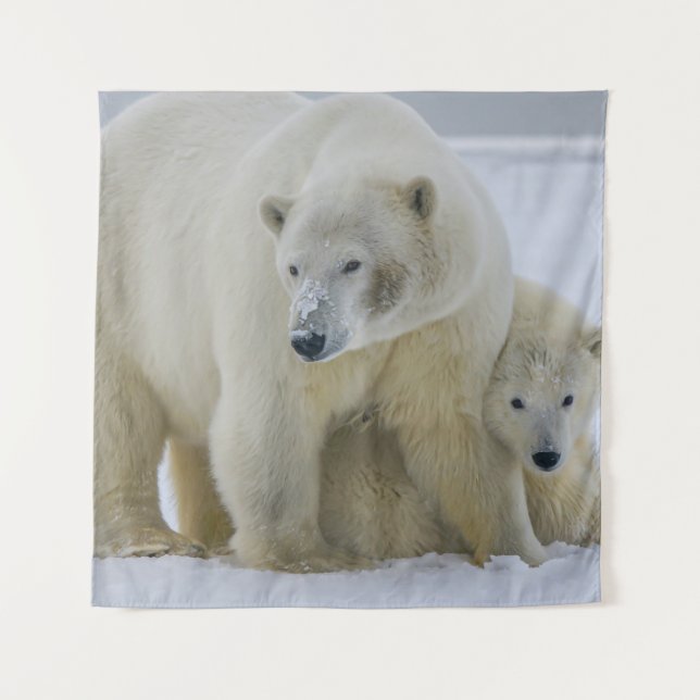 TAPETE DE PAREDE MÃE DE URSO POLAR E NORTE DE CUB ALASKA (Frente)