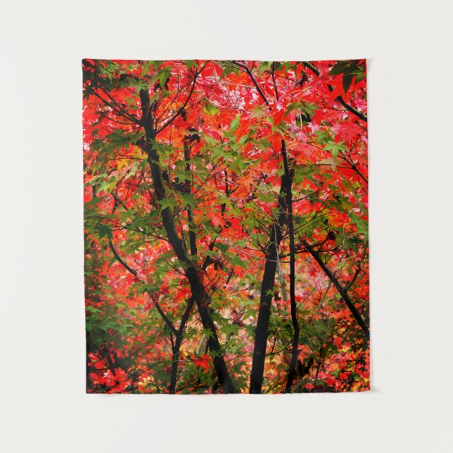 Tapete De Parede Maple Japonês (Frente)