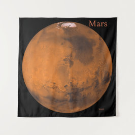 Tapete De Parede Mars Globe pela NASA