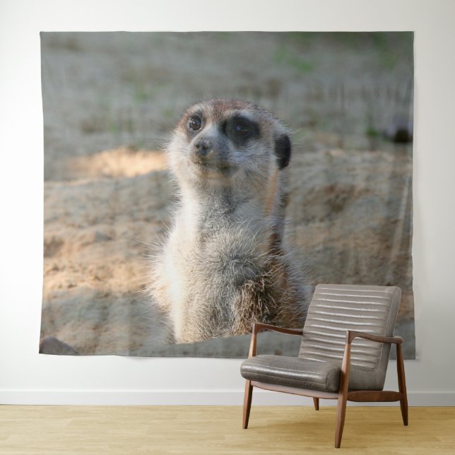Tapete De Parede Meerkat 004 (In Situ (Horizontal))