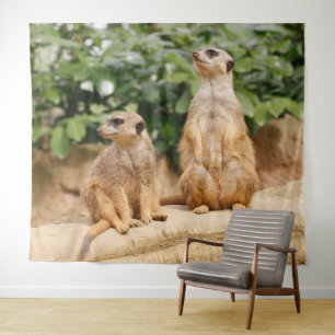 Tapete De Parede Meerkat 009
