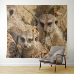 Tapete De Parede Meerkat 039