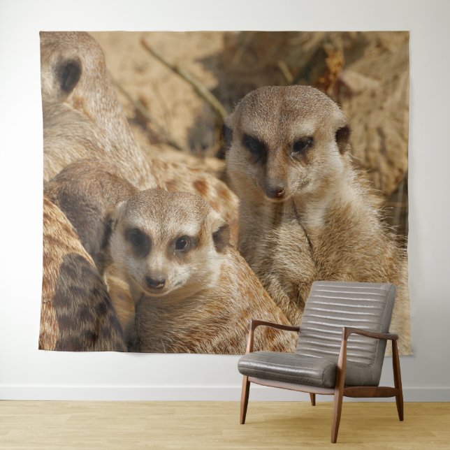 Tapete De Parede Meerkat 039 (In Situ (Horizontal))