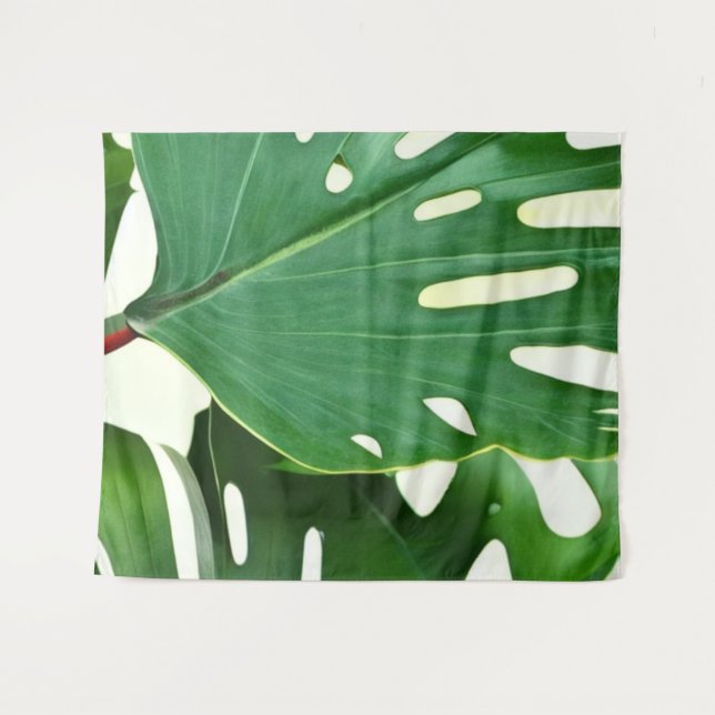 Tapete De Parede Monstera Folaves (Frente (Horizontal))