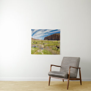 Tapete De Parede Montanhas   Andes bolivianos