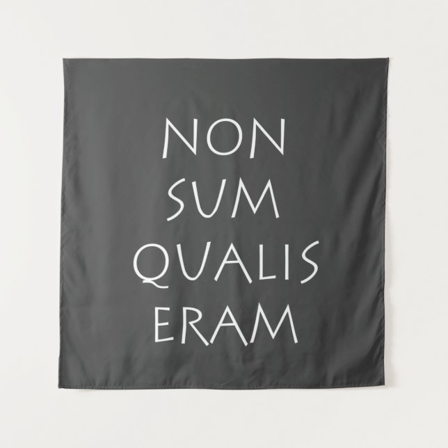Tapete De Parede Não soma qualis eram (Frente)