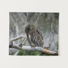 Tapete De Parede Norte Pygmy Owl