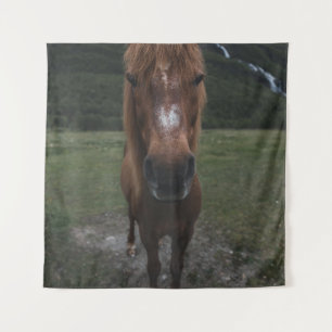 TAPETE DE PAREDE OLÁ, EU SOU UM CAVALO