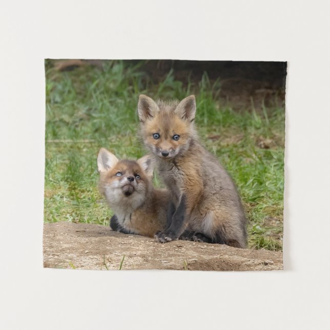 Tapete De Parede Olhos Adoráveis (Frente (Horizontal))