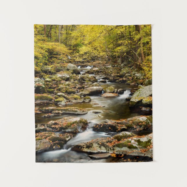 Tapete De Parede Outono em Big Creek (Frente)