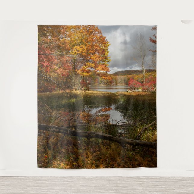 Tapete De Parede Outono no Nordeste  (Frente)