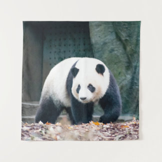 TAPETE DE PAREDE PAINDA DE ANDAMENTO FRENTE DA CONSTRUÇÃO CONCRETA