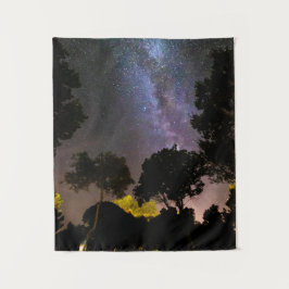 Tapete De Parede Paisagem de árvores com caminho leitoso