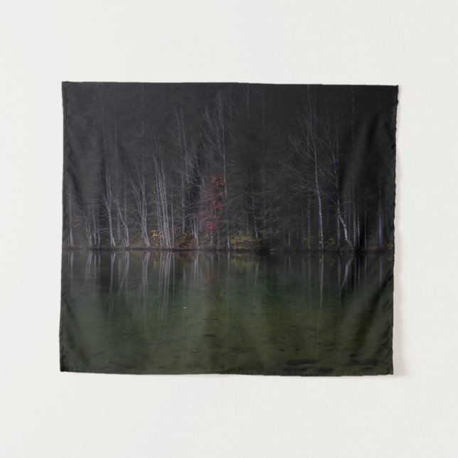 Tapete De Parede Paisagem de árvores no lago (Frente (Horizontal))