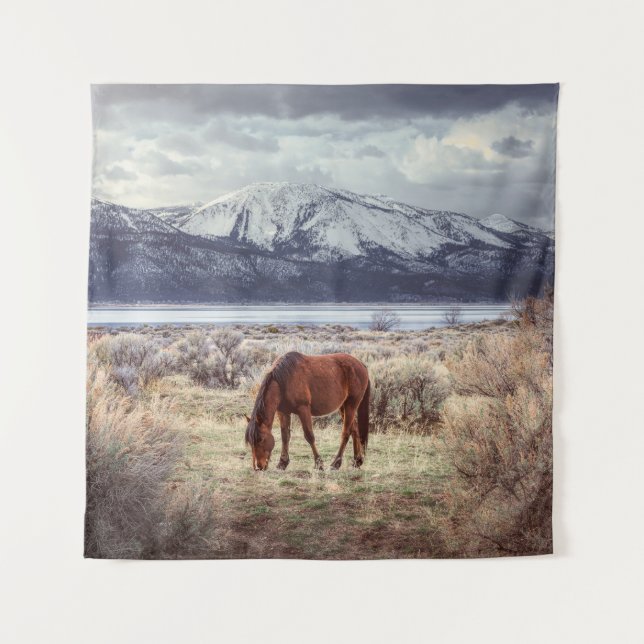 Tapete De Parede Paisagem de inverno de Nevada. (Frente)