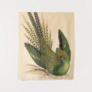 Tapete De Parede Papagaio-terrestre de James Sowerby, Psittacus ter