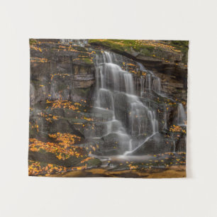 Tapete De Parede Parque Estadual Blackwater Falls