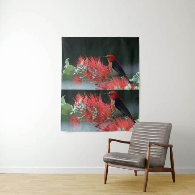 Tapete De Parede Pássaro Vermelho na Parede Verde - Surpreendente (In Situ)