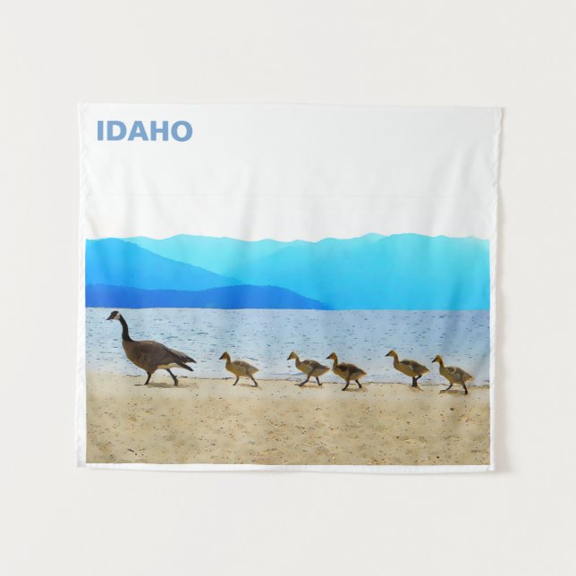 Tapete De Parede Patrulha de Shore - Canadá Geese (Frente (Horizontal))