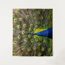 Tapete De Parede Pavão colorido