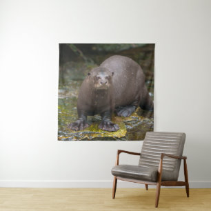 Tapete De Parede Pegadas de lontra gigante