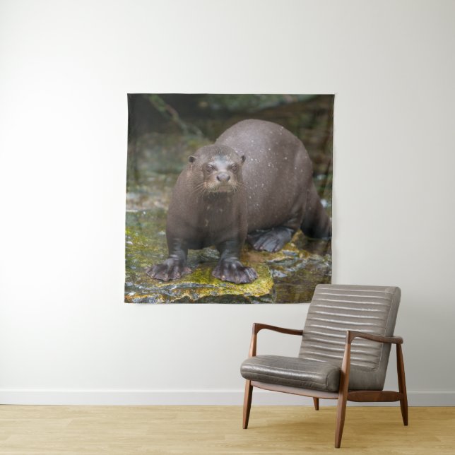 Tapete De Parede Pegadas de lontra gigante (In Situ)