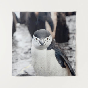 TAPETE DE PAREDE PENGUIN CHENSAP