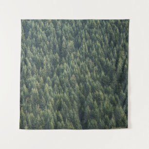 TAPETE DE PAREDE PINE ÁRVORE FLORESTA