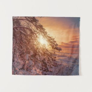 Tapete De Parede Pinheiros e pinheiros com neve