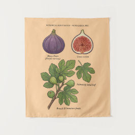 Tapete De Parede Planche Botanique Figue Ficus Carica 