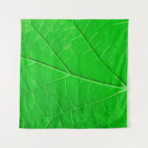 Tapete De Parede Plano de fundo da planta de ecologia de folha verd