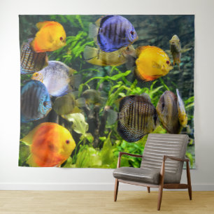 TAPETE DE PAREDE PLANO DE FUNDO PARA FOTOS DE PEIXES LINDO