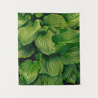 Tapete De Parede Planta verde