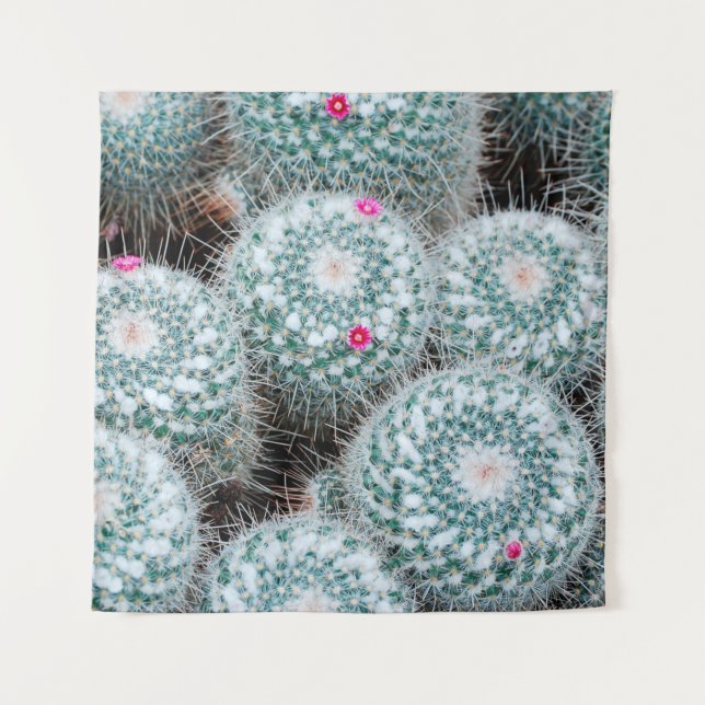 Tapete De Parede Plantas de Cactus com Flores Rosa Pequenas (Frente)