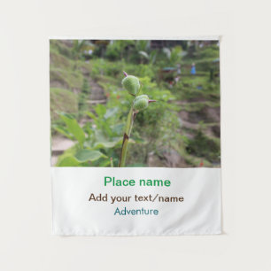 Tapete De Parede Plantas naturais fotografia água de praia viagem