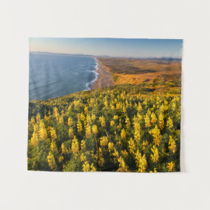 Tapete De Parede Point Reyes National Seashore California