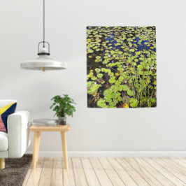 Tapete De Parede Pond Lily Pads e Reeds Foto