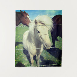 Tapete De Parede Pony