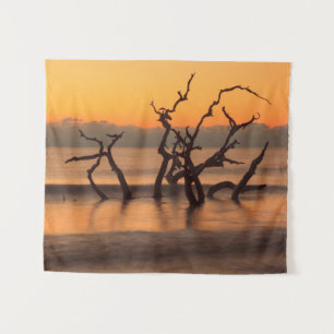 Tapete De Parede Praia Driftwood ao Nascer do Sol Ilha Jekyll Geórg