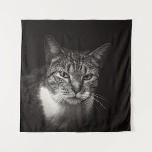 TAPETE DE PAREDE PRATA TABBY CAT