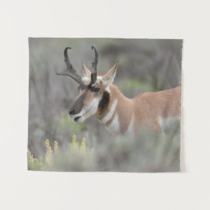 Tapete De Parede Pronghorn Antelope Buck   Grand Tetons