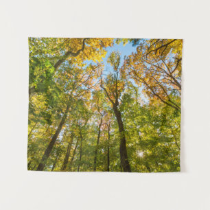 Tapete De Parede Queda em uma Floresta em Amesbury, Massachusetts