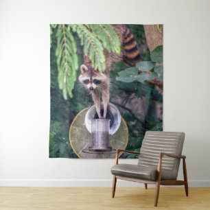Tapete De Parede Raccoon acionando o alimentador de pássaros
