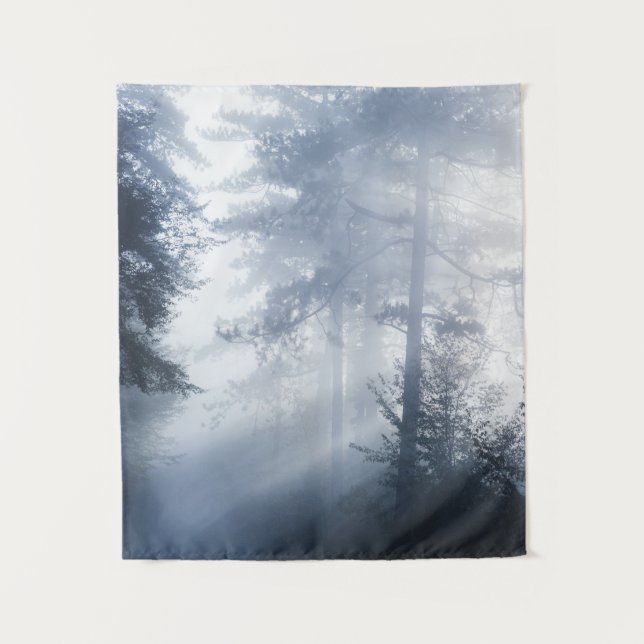 Tapete De Parede Raios solares brilhando através da floresta nebulo (Frente)