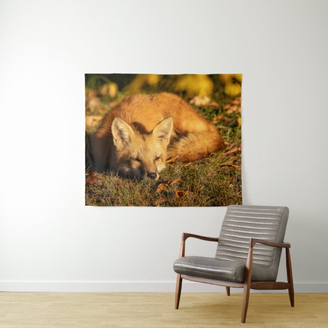 Tapete De Parede Raposa Pequenina Sonolenta        (In Situ (Horizontal))