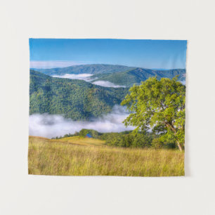 Tapete De Parede Redwood National Park, Califórnia