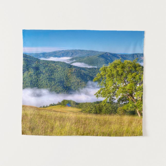 Tapete De Parede Redwood National Park, Califórnia (Frente (Horizontal))